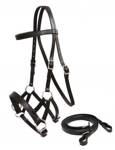 Brown Leather Bitless Bridle & Reins